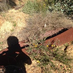 Meet your Posher, Bel